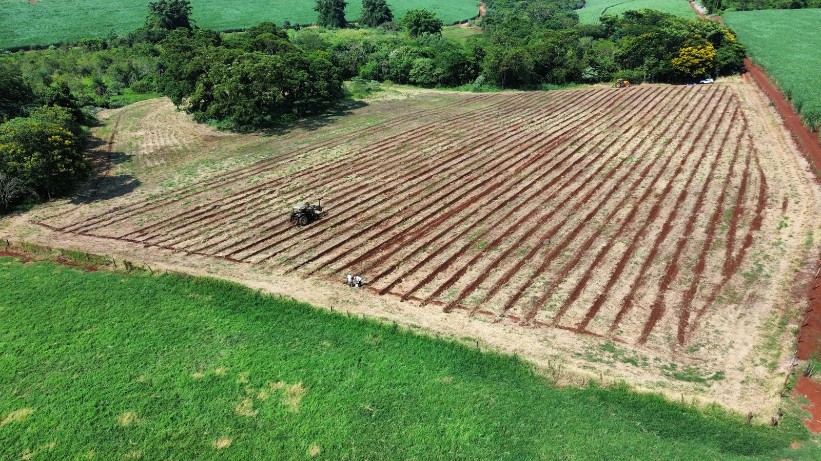 UA - Fazenda da Barra, Batatais/SP